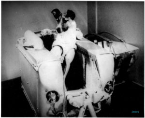 Уважение, космическим первопроходцам - собака Лайка, без права на возвращение
